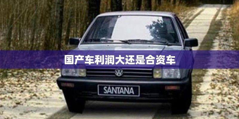 国产车利润大还是合资车 国产车利润大还是合资车