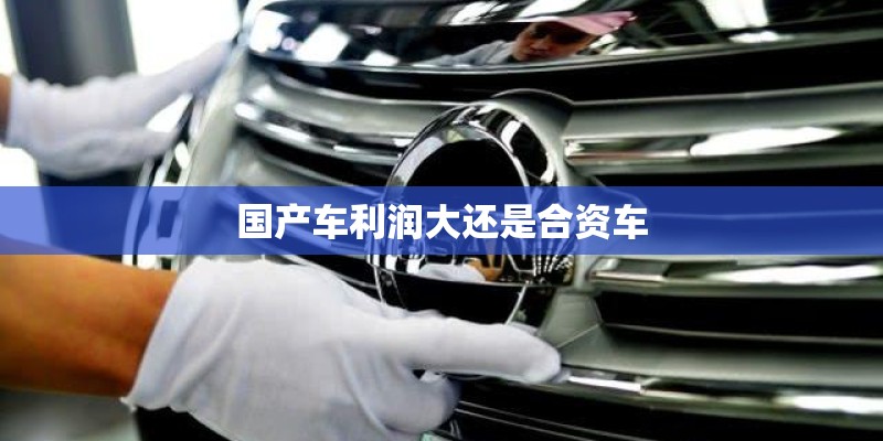 国产车利润大还是合资车 国产车利润大还是合资车