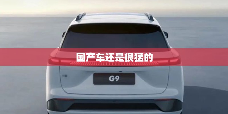 国产车还是很猛的