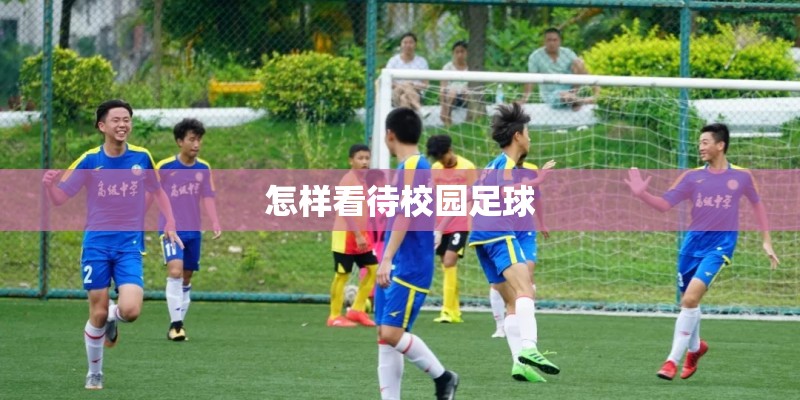 怎样看待校园足球 怎样看待校园足球