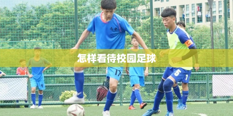 怎样看待校园足球 怎样看待校园足球