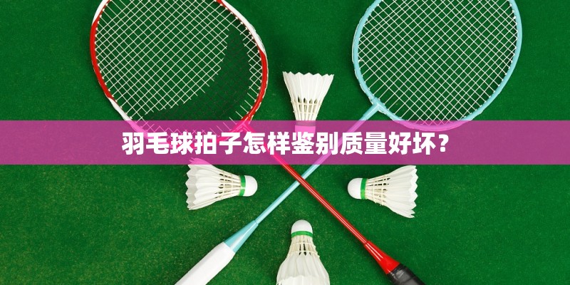 羽毛球拍子怎样鉴别质量好坏? 羽毛球拍子怎样鉴别质量好坏?