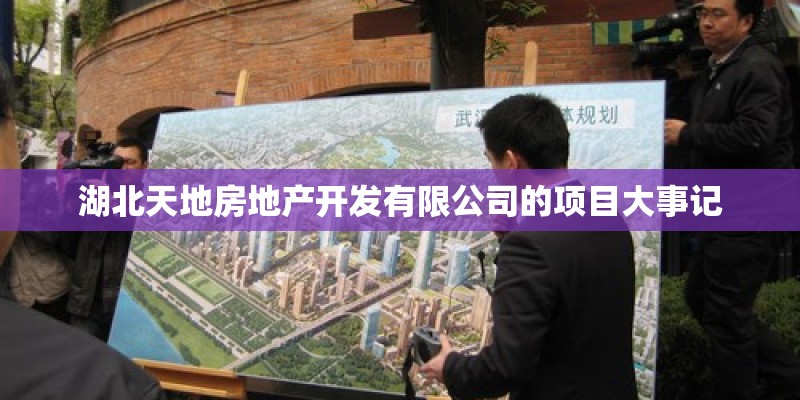 湖北天地房地产开发有限公司的项目大事记
