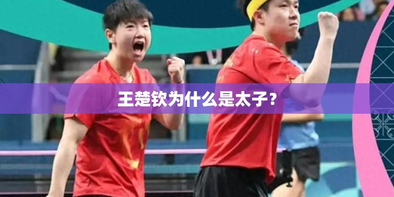 王楚钦为什么是太子? 王楚钦为什么是太子?