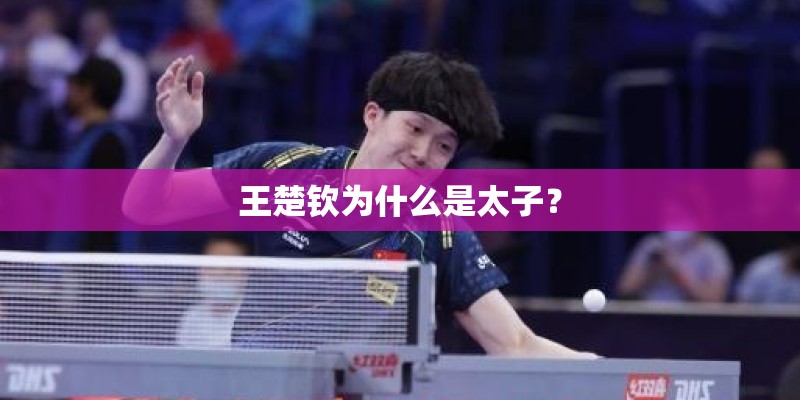 王楚钦为什么是太子? 王楚钦为什么是太子?