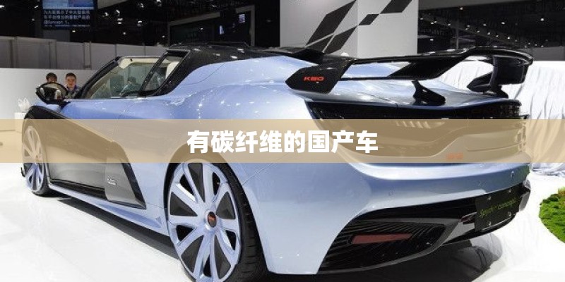有碳纤维的国产车 有碳纤维的国产车