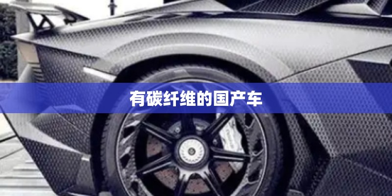 有碳纤维的国产车 有碳纤维的国产车