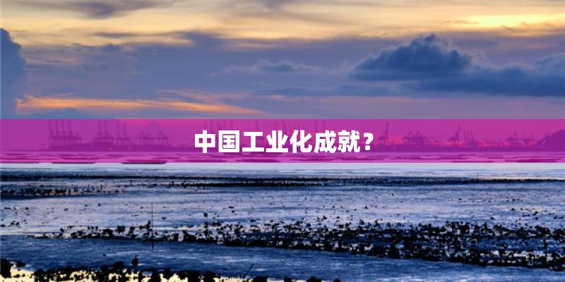 中国工业化成就? 中国工业化成就?