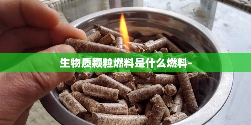 生物质颗粒燃料是什么燃料- 生物质颗粒燃料是什么燃料-