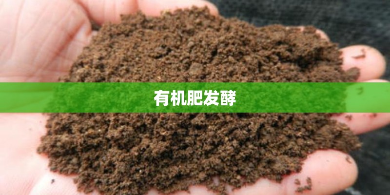 有机肥发酵