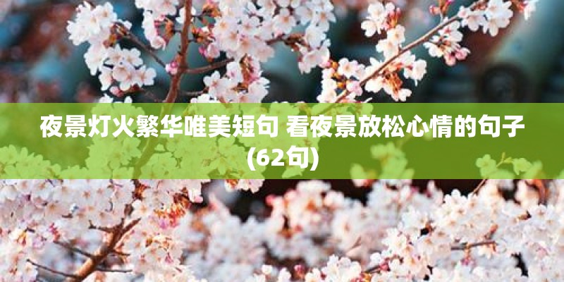 夜景灯火繁华唯美短句 看夜景放松心情的句子(62句) 夜景灯火繁华唯美短句 看夜景放松心情的句子(62句)