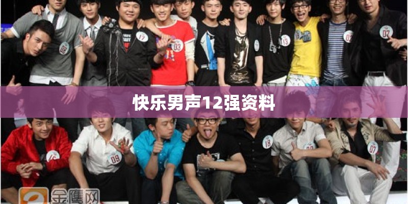 快乐男声12强资料 快乐男声12强资料