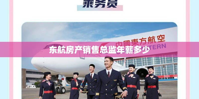 东航房产销售总监年薪多少 东航房产销售总监年薪多少