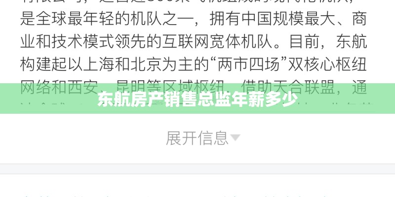 东航房产销售总监年薪多少 东航房产销售总监年薪多少