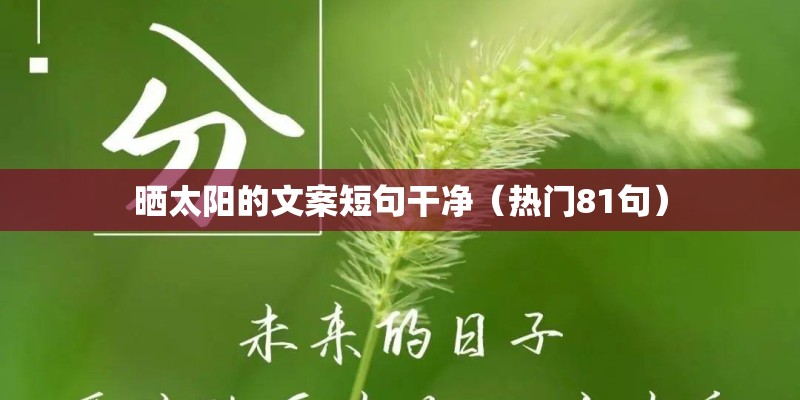 晒太阳的文案短句干净(热门81句) 晒太阳的文案短句干净(热门81句)