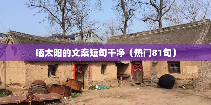 晒太阳的文案短句干净(热门81句) 晒太阳的文案短句干净(热门81句)
