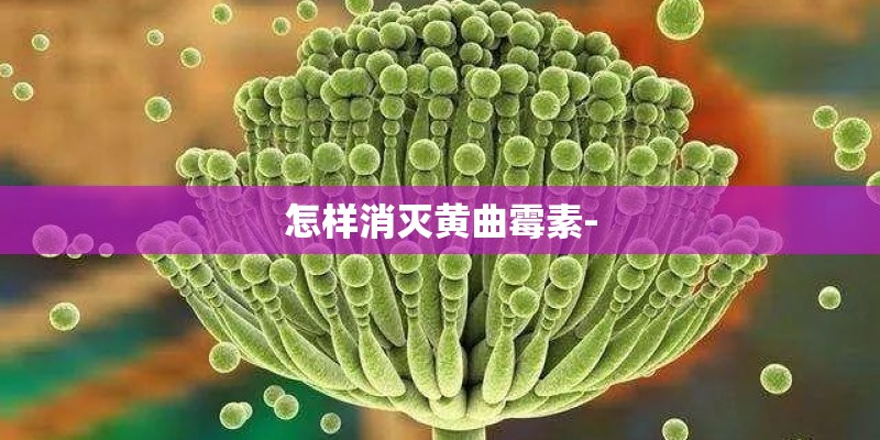 怎样消灭黄曲霉素- 怎样消灭黄曲霉素-