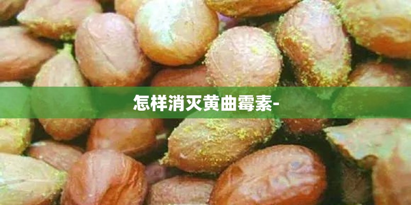 怎样消灭黄曲霉素- 怎样消灭黄曲霉素-