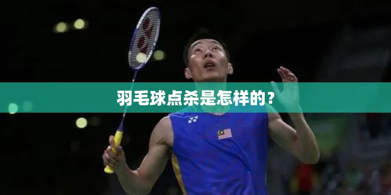 羽毛球点杀是怎样的? 羽毛球点杀是怎样的?