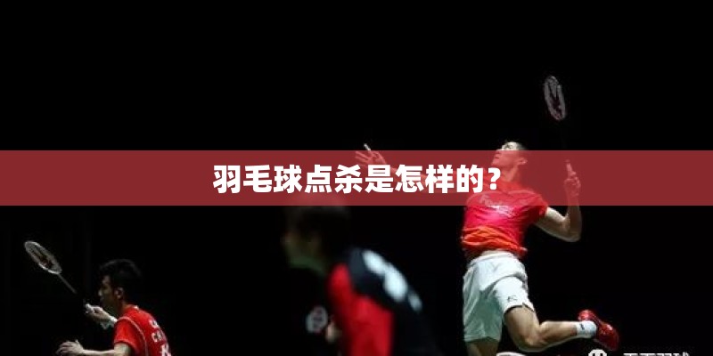 羽毛球点杀是怎样的? 羽毛球点杀是怎样的?