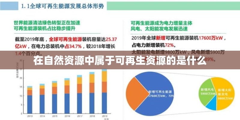 在自然资源中属于可再生资源的是什么 在自然资源中属于可再生资源的是什么