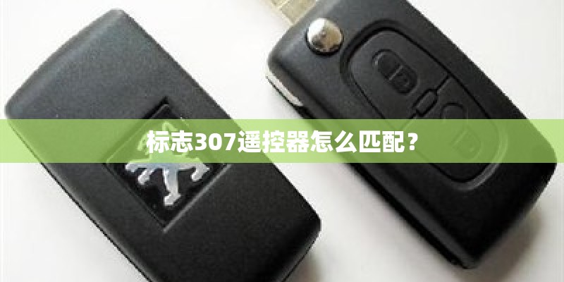 标志307遥控器怎么匹配? 标志307遥控器怎么匹配?