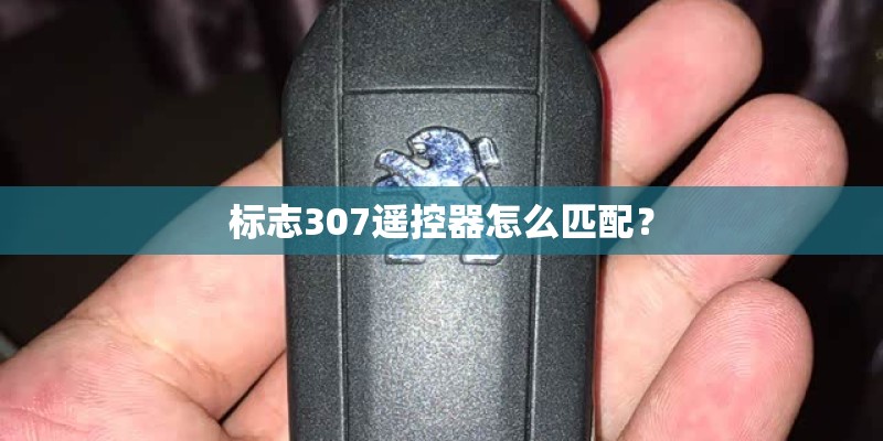 标志307遥控器怎么匹配? 标志307遥控器怎么匹配?