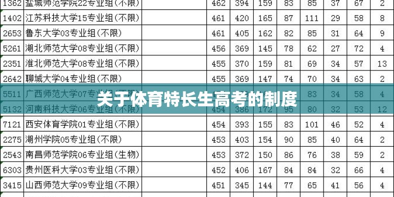 关于体育特长生高考的制度 关于体育特长生高考的制度
