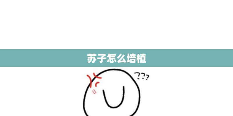苏子怎么培植