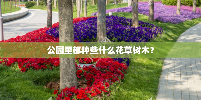公园里都种些什么花草树木？