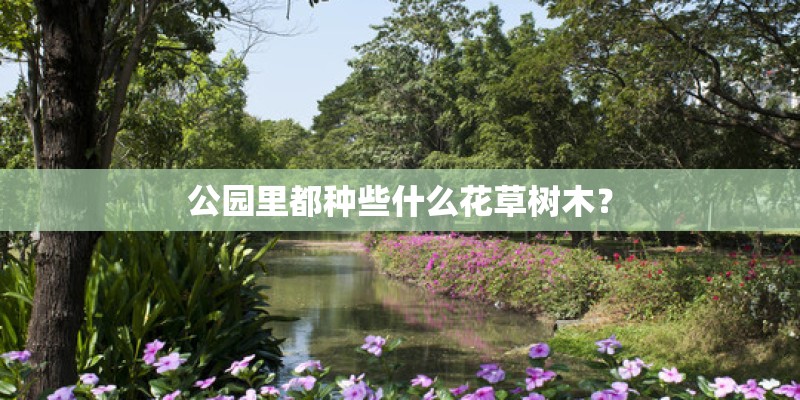 公园里都种些什么花草树木？
