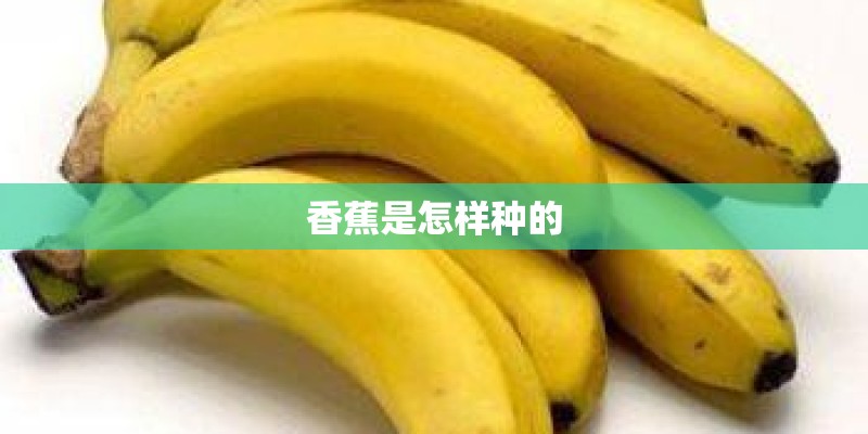 为什么汽车备胎都小一寸-
