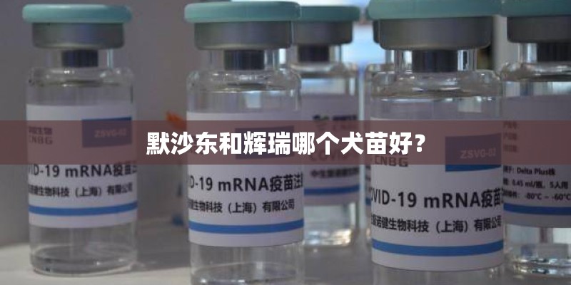 默沙东和辉瑞哪个犬苗好? 默沙东和辉瑞哪个犬苗好?