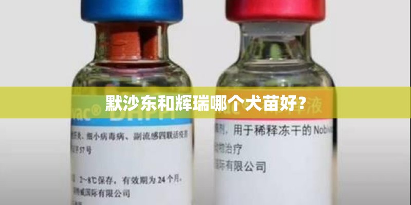 默沙东和辉瑞哪个犬苗好? 默沙东和辉瑞哪个犬苗好?
