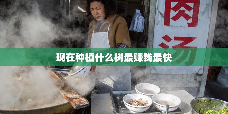 现在种植什么树最赚钱最快 现在种植什么树最赚钱最快