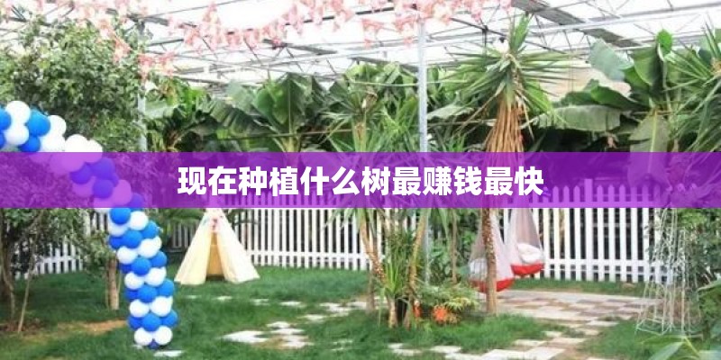 现在种植什么树最赚钱最快 现在种植什么树最赚钱最快