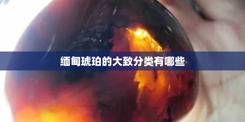 缅甸琥珀的大致分类有哪些 缅甸琥珀的大致分类有哪些