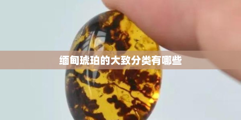 缅甸琥珀的大致分类有哪些 缅甸琥珀的大致分类有哪些