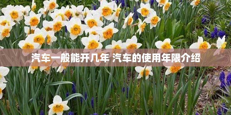汽车一般能开几年 汽车的使用年限介绍 汽车一般能开几年 汽车的使用年限介绍