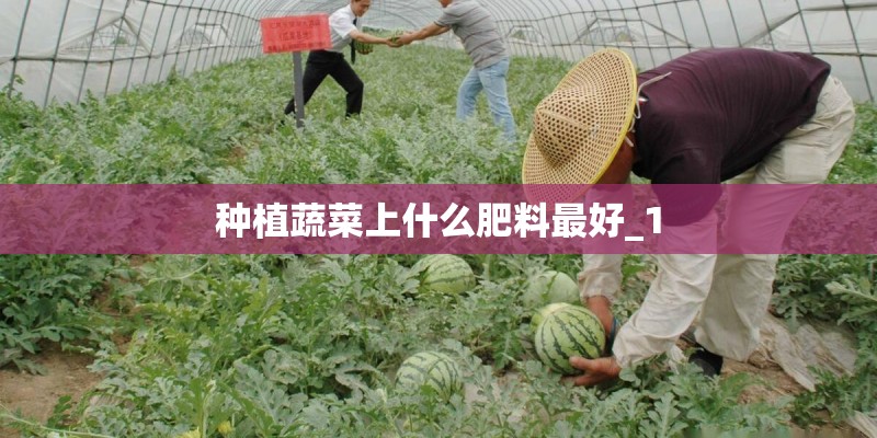 幼儿园安全教案