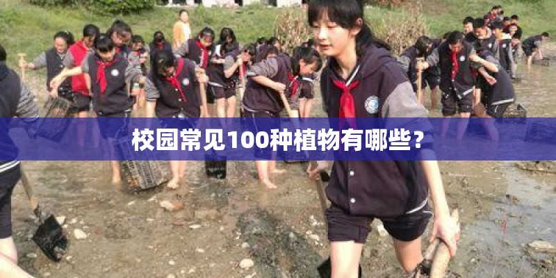 校园常见100种植物有哪些? 校园常见100种植物有哪些?