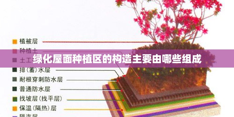 绿化屋面种植区的构造主要由哪些组成 绿化屋面种植区的构造主要由哪些组成