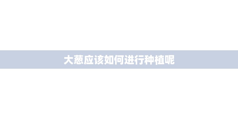 大葱应该如何进行种植呢 大葱应该如何进行种植呢