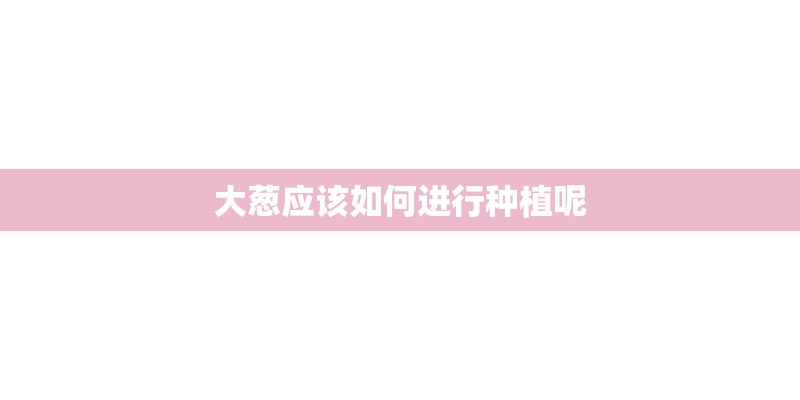 大葱应该如何进行种植呢 大葱应该如何进行种植呢