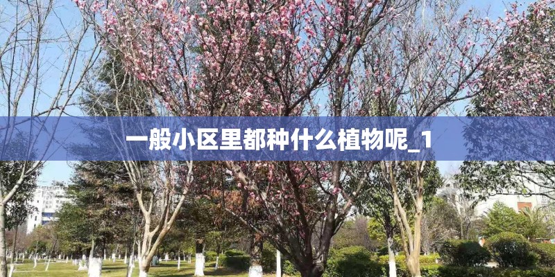 一般小区里都种什么植物呢_1 一般小区里都种什么植物呢_1