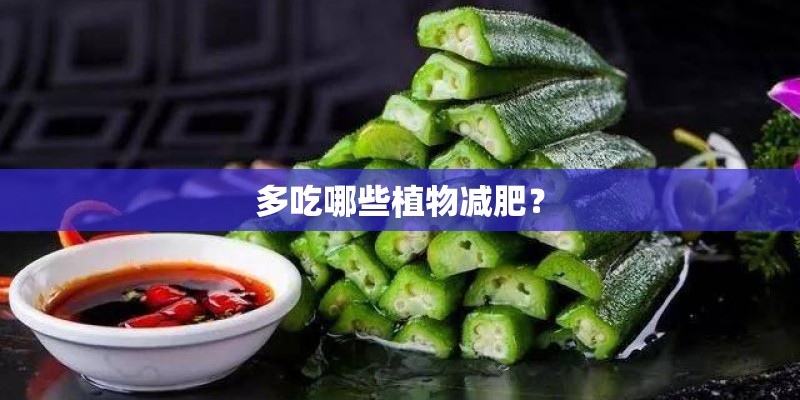 多吃哪些植物减肥? 多吃哪些植物减肥?