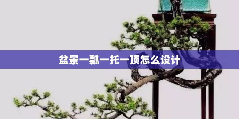盆景一瓢一托一顶怎么设计 盆景一瓢一托一顶怎么设计