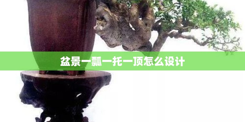 盆景一瓢一托一顶怎么设计 盆景一瓢一托一顶怎么设计
