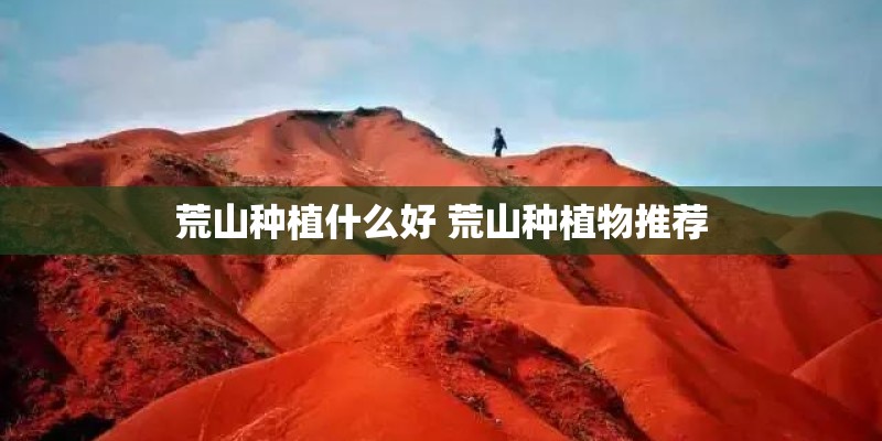 宝马e90是哪款变速箱-