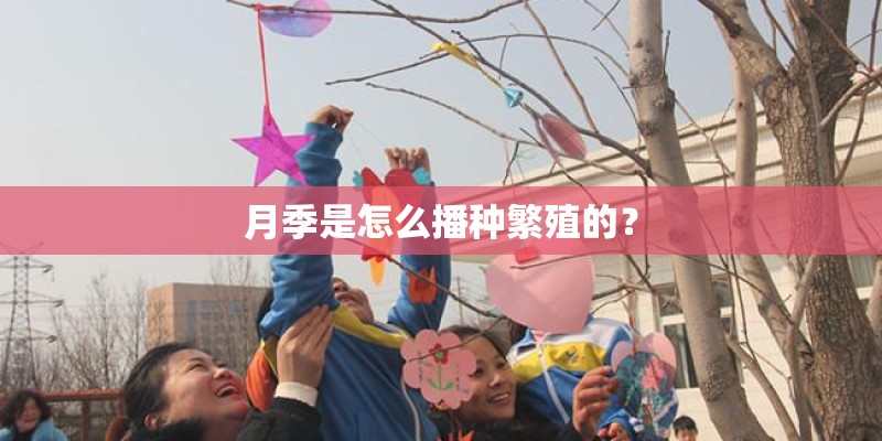 月季是怎么播种繁殖的? 月季是怎么播种繁殖的?